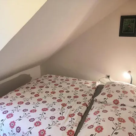 Pestalozza Špindlerŭv Mlýn