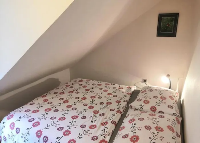 Pestalozza Špindlerŭv Mlýn